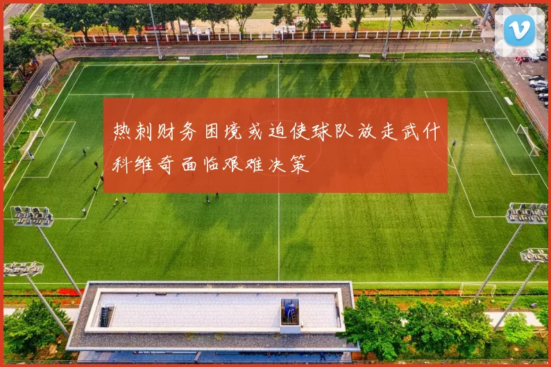 热刺财务困境或迫使球队放走武什科维奇面临艰难决策