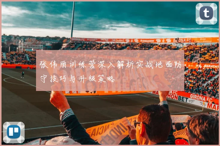 张伟丽训练营深入解析实战地面防守技巧与升级策略