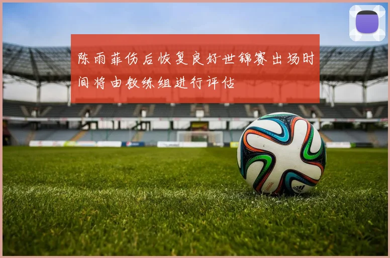 陈雨菲伤后恢复良好世锦赛出场时间将由教练组进行评估